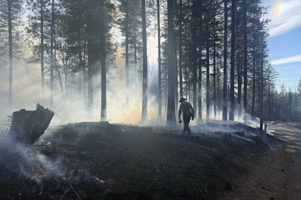WHY COMMUNITY-BASED PRESCRIBED FIRE MATTERS